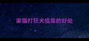 家猫打狂犬疫苗的好处