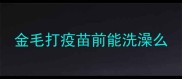 金毛打疫苗前能洗澡么