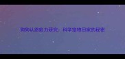 狗狗认路能力研究科学宠物回家的秘密