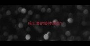 哈士奇的肢体语言