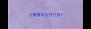 小狗腹泻治疗方法