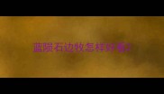 蓝陨石边牧怎样好看