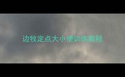 边牧定点大小便训练教程
