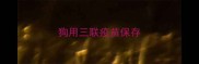 狗用三联疫苗保存