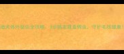 泰迪犬体外驱虫全攻略3步搞定跳蚤蜱虫守护毛孩健康