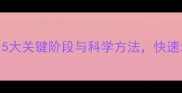 两个月狗狗训练指南5大关键阶段与科学方法快速培养服从性与生活习惯