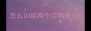 怎么训练两个月狗睡觉