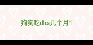 狗狗吃dha几个月
