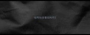 拉布拉多喜欢叫不