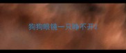 狗狗眼镜一只睁不开