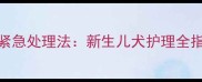 小狗脐带断掉后5步紧急处理法新生儿犬护理全指南附预防措施
