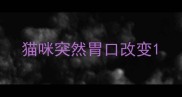 猫咪突然胃口改变
