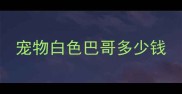 宠物白色巴哥多少钱