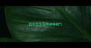 拉布拉多流眼泪喘粗气