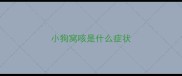 小狗窝咳是什么症状