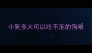 小狗多大可以吃不泡的狗粮