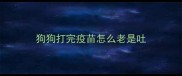 狗狗打完疫苗怎么老是吐