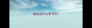 猫疫苗什么季节打