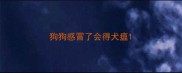 狗狗感冒了会得犬瘟