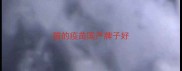 猫的疫苗国产牌子好