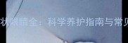 哈士奇杏仁状眼睛全科学养护指南与常见误区盘点