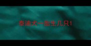 泰迪犬一胎生几只