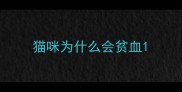 猫咪为什么会贫血