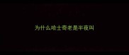 为什么哈士奇老是半夜叫