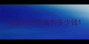 刚满月的泰迪狗多少钱