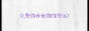 免费领养宠物的微信