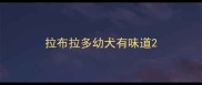 拉布拉多幼犬有味道