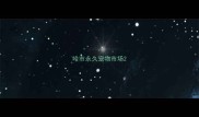 哈市永久宠物市场