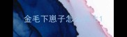金毛下崽子怎么接生