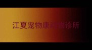 江夏宠物康动物诊所