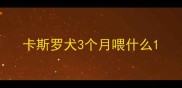 卡斯罗犬3个月喂什么