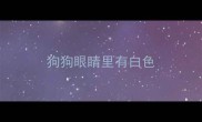 狗狗眼睛里有白色