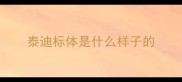 泰迪标体是什么样子的