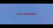 拉布拉多预防湿疹药