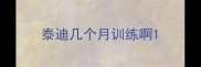 泰迪几个月训练啊
