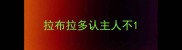 拉布拉多认主人不