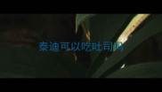 泰迪可以吃吐司吗