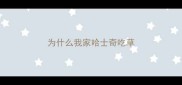 为什么我家哈士奇吃草