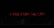 小狗疫苗期间不能洗澡