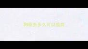 狗驱虫多久可以疫苗