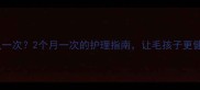 泰迪洗牙多久一次2个月一次的护理指南让毛孩子更健康更可爱