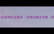 广州白云区专业宠物托运服务宠物运输全攻略附最新政策