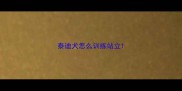 泰迪犬怎么训练站立