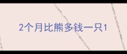 2个月比熊多钱一只