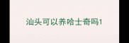 汕头可以养哈士奇吗
