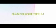 成年狗打疫苗需要注意什么